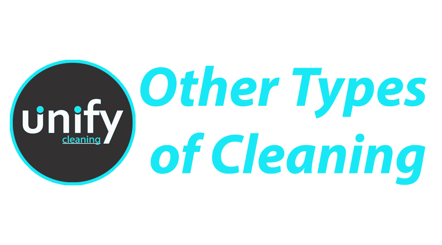 Other Types of Cleaning